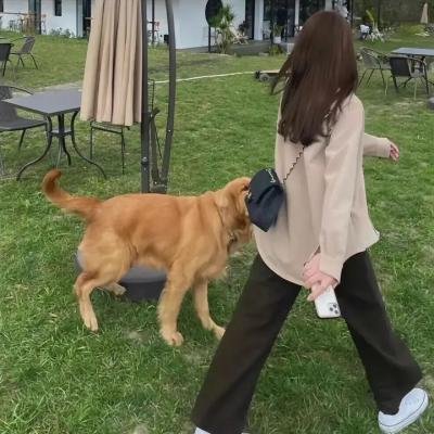 逃亡纪事